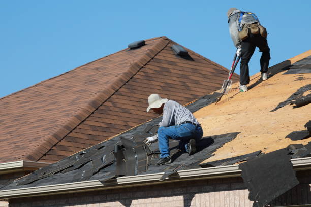 Best Roof Moss and Algae Removal  in Mcmillin, WA